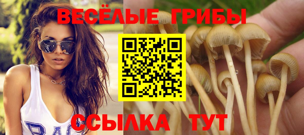 Псилоцибиновые грибы GOLDEN TEACHER Орехово-Зуево