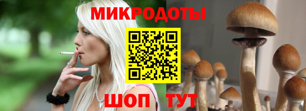 Галлюциногенные грибы MAGIC MUSHROOMS  купить   Орехово-Зуево  Вход с VPN 